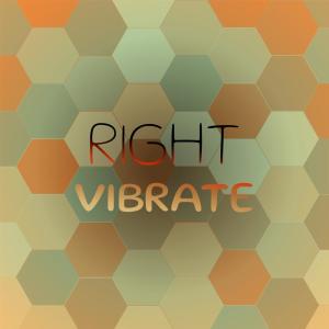 Various Artists的專輯Right Vibrate