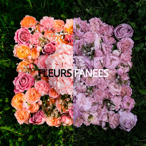 Fleurs fanees