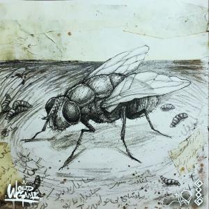 收聽Sezavar的MAGAS歌詞歌曲