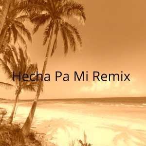 Album Hecha Pa' Mi Remix from 