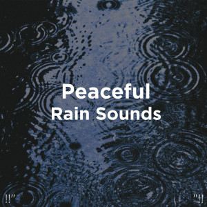 收聽Meditation Rain Sounds的雨聲音冥想歌詞歌曲