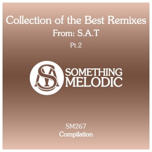 Listen to Searching (S.A.T Remix) song with lyrics from DJ Artak