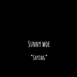 Listen to Saying (Explicit) song with lyrics from Sunny Woe