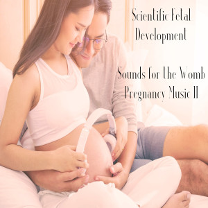 收聽Institute for Cognitive Baby Development的Sounds for the Womb #14歌詞歌曲