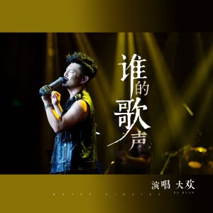 Album 谁的歌声 from 大欢