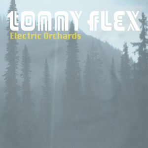 收聽Tonny Flex的The Drums歌詞歌曲