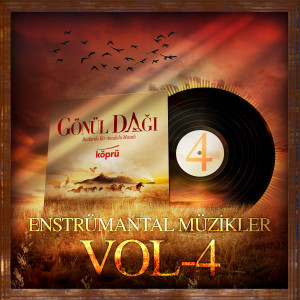 Sunay Özgür的專輯Gönül Dağı Enstrümantal Müzikler Vol 4