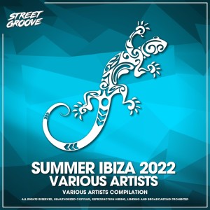 Album Summer Ibiza 2022 from Various
