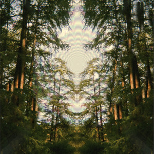 ดาวน์โหลดและฟังเพลง Trees พร้อมเนื้อเพลงจาก Plush