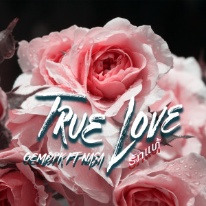收听GEMI9PK的True Love歌词歌曲