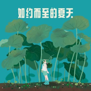 收聽音巢音樂的如約而至的夏天（吉它曲） (完整版)歌詞歌曲
