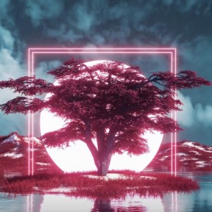 Album Acacia from Virtual Wave