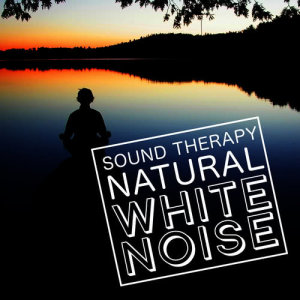 收聽Relaxing With Sounds of Nature and Spa Music Natural White Noise Sound Therapy的A Bird Chorus歌詞歌曲
