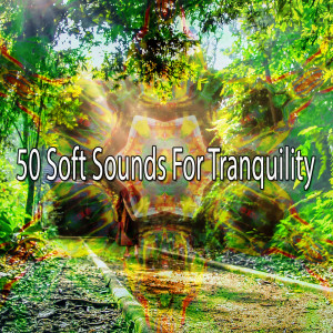 Listen to Celebration of Life song with lyrics from Yoga