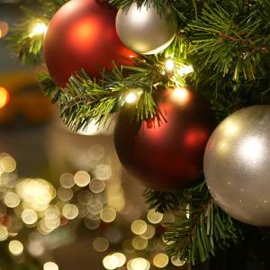 收聽Steve Clarke的Magical Christmas歌詞歌曲