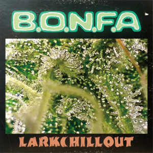 Dengarkan B.O.N.F.A. Pt.2 lagu dari Lark Chillout dengan lirik