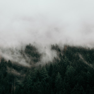 Dengarkan Welness and Mindfulness lagu dari Yoga Workout Music dengan lirik
