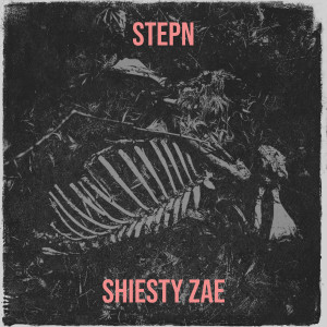 Listen to Stepn (Explicit) song with lyrics from Shiesty zae