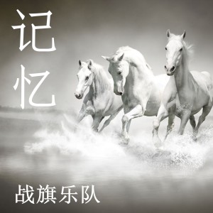 战旗乐队SULD的专辑记忆