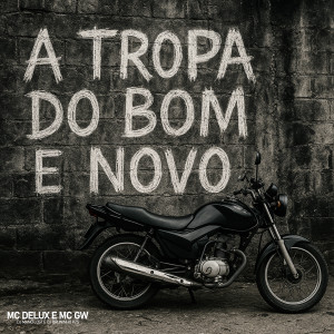 收聽DJ Mano Lost的A Tropa do Bom e Novo (Explicit)歌詞歌曲