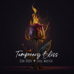 Don Kody的專輯Temporary Bliss (Clean Version)