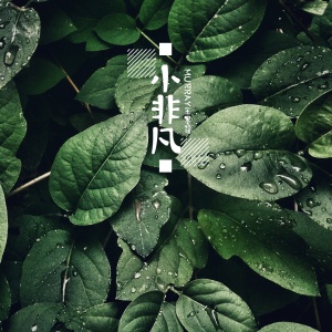 Listen to 小非凡 song with lyrics from Murray王墨翟
