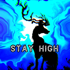 Listen to Stay High song with lyrics from Lynxy