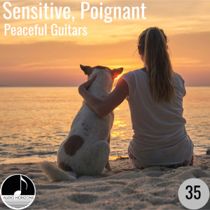 James Lum的專輯Sensitive, Poignant 35 Peaceful Guitars