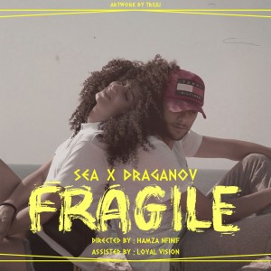 Sea的專輯Fragile