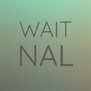 Listen to Wait Nal song with lyrics from Aary Heis