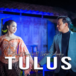 Dengarkan Tulus lagu dari DAVID CHANDRA dengan lirik