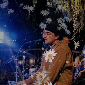 BASI VIBE的專輯Wallflower (Live at Lowerdeck Sessions)