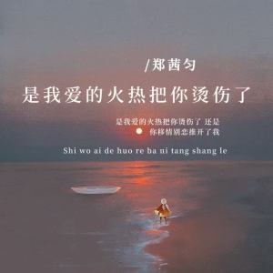 郑茜匀的专辑是我爱的火热把你烫伤了
