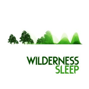 Nature Sounds Sleep的專輯Wilderness Sleep