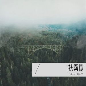 Album 扶桑树 from 