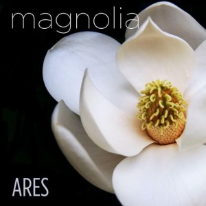 收聽ARES的Magnolia歌詞歌曲