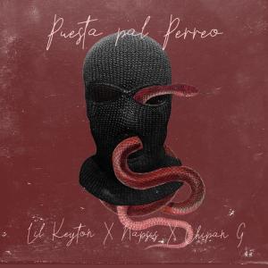 ดาวน์โหลดและฟังเพลง Puesta Pal Perreo (feat. Napsis) พร้อมเนื้อเพลงจาก Lil Keyton