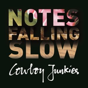 ดาวน์โหลดและฟังเพลง The Slide (NFS) พร้อมเนื้อเพลงจาก Cowboy Junkies