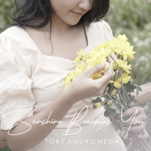Album Sunshine Becomes You from 