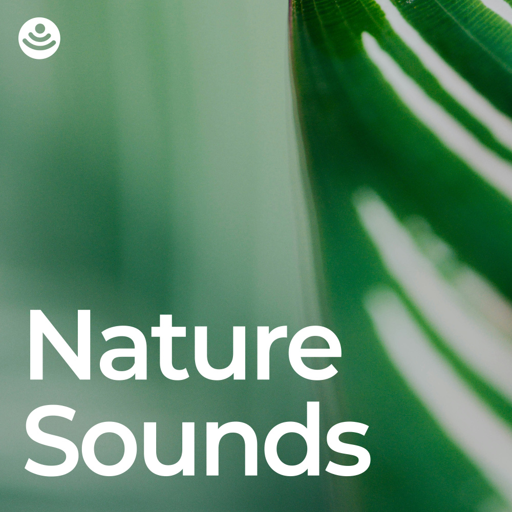 Best Nature Ambience (Loopable, No Fade)