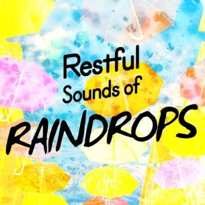 Rain Sleep的專輯Restful Sounds of Raindrops