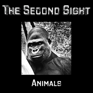 Album Animals (2022) from 