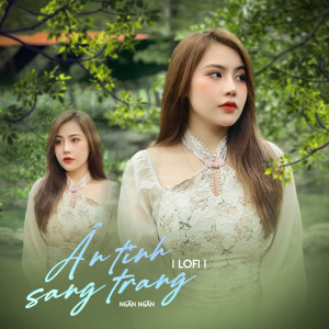 Listen to Ân Tình Sang Trang (Lofi) song with lyrics from Ngân Ngân