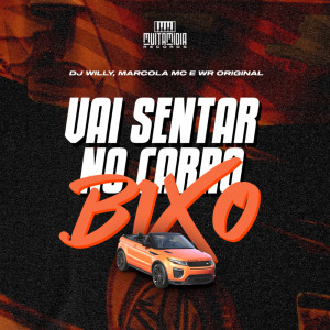 收听DJ Willy的VAI SENTAR NO CARRO BIXO (Explicit)歌词歌曲