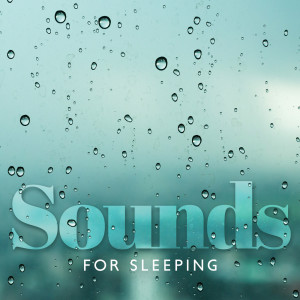 Album Sounds for Sleeping (Rain Sounds with Instruments to Help You Fall Asleep, Nighttime Ritual with Sleep Jar to Relax) from 