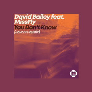 David Bailey的專輯You Don't Know (Jovonn Remix)