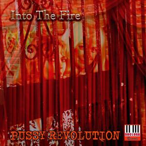 Into the Fire dari Pussy Revolution