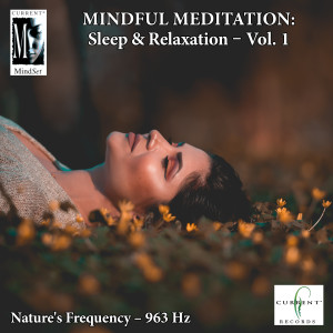 收聽Current的Mindful Meditations - Sleep & Relaxation, Vol. 1歌詞歌曲