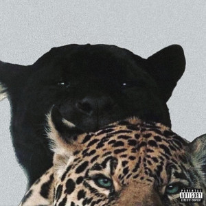 Album Shadow (Explicit) from Myka