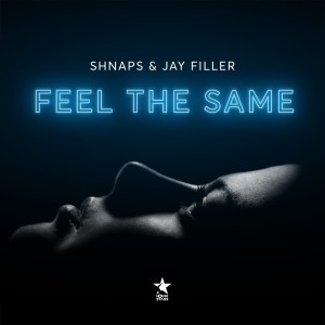 ดาวน์โหลดและฟังเพลง Feel the Same พร้อมเนื้อเพลงจาก Shnaps
